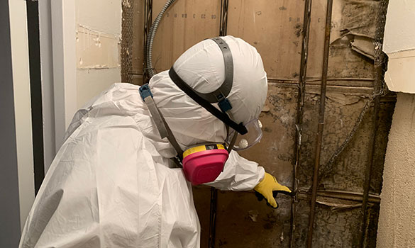 Staff removing some asbestos